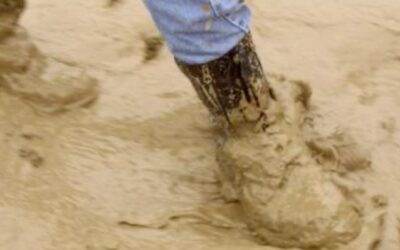 Cancelada temporalmente la Muestra de cine de Burkina Faso 